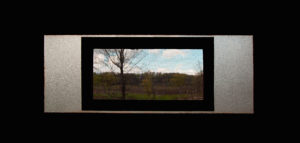 Window